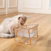 Neck-protecting sloped pet feed bowl Stand