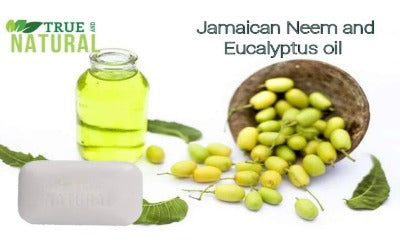 True and Natural Soap Neem & Eucalyptus