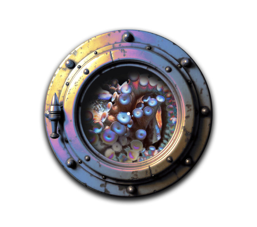 Octopus Attack Turntable Slipmat
