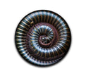 Millipede Turntable Slipmat