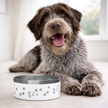 Gamelle personnalisée pour chien et chat blanche