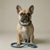 Denim Leash