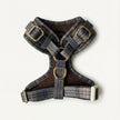 Plaid Harness