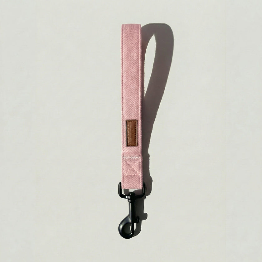 Tweed Leash