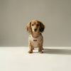 Tweed Harness