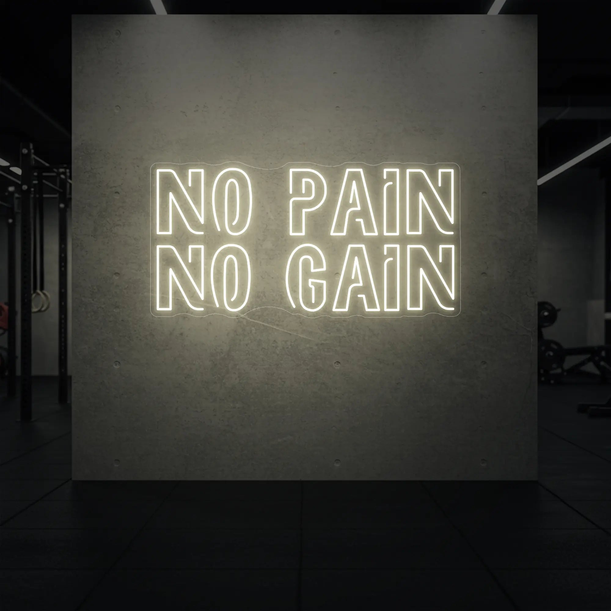 NO PAIN NO GAIN Neon Sign