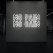 NO PAIN NO GAIN Neon Sign