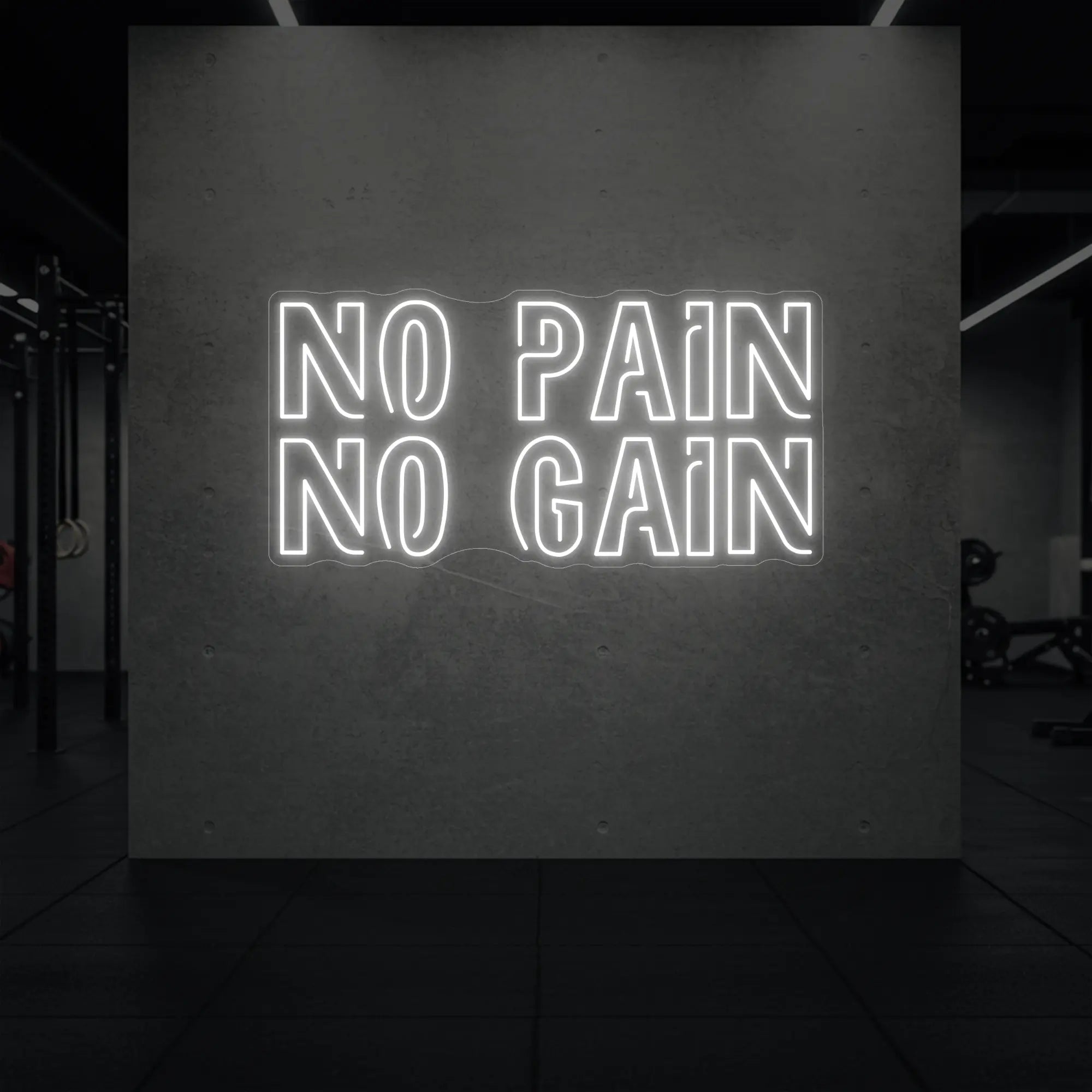 NO PAIN NO GAIN Neon Sign