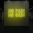 NO PAIN NO GAIN Neon Sign