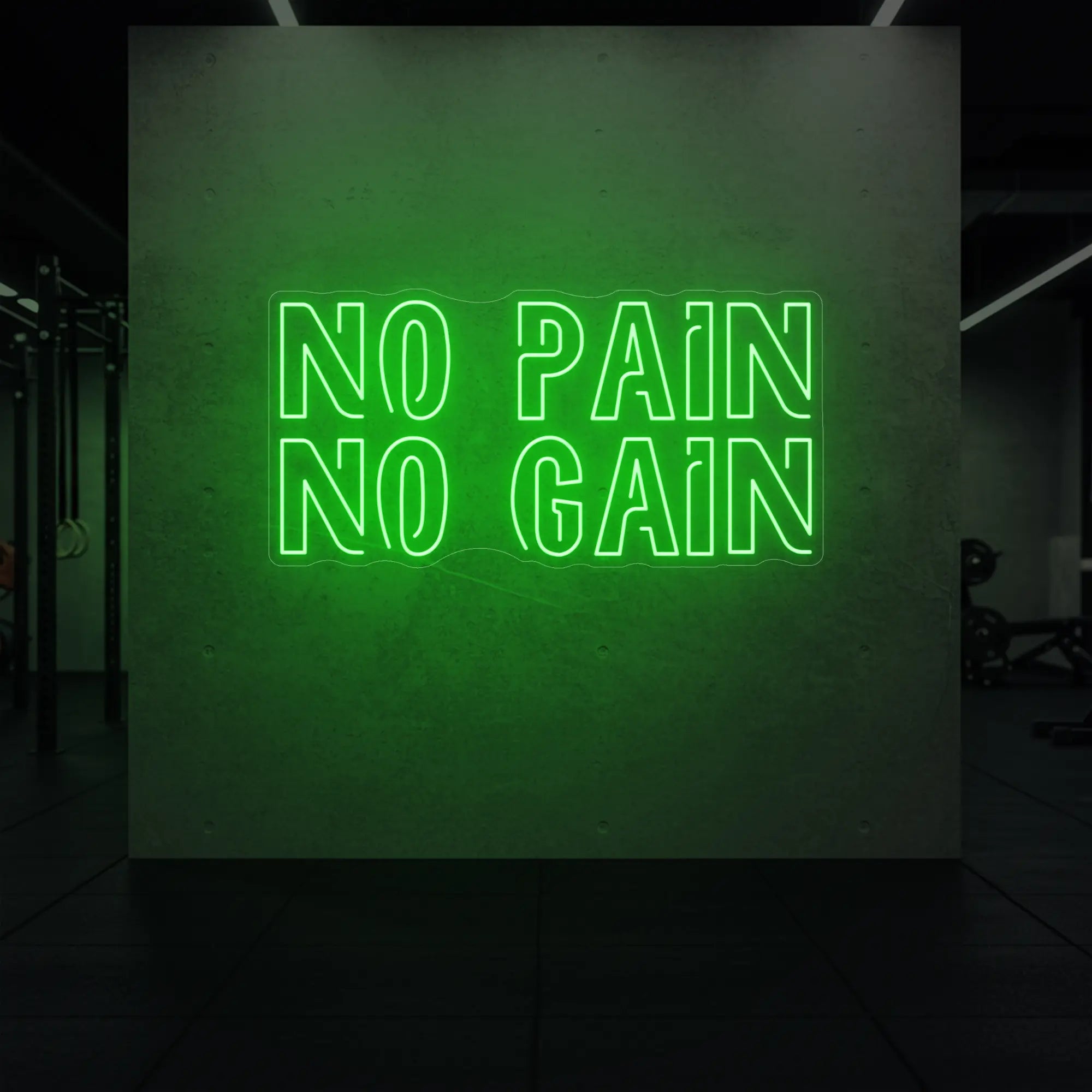 NO PAIN NO GAIN Neon Sign