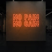 NO PAIN NO GAIN Neon Sign