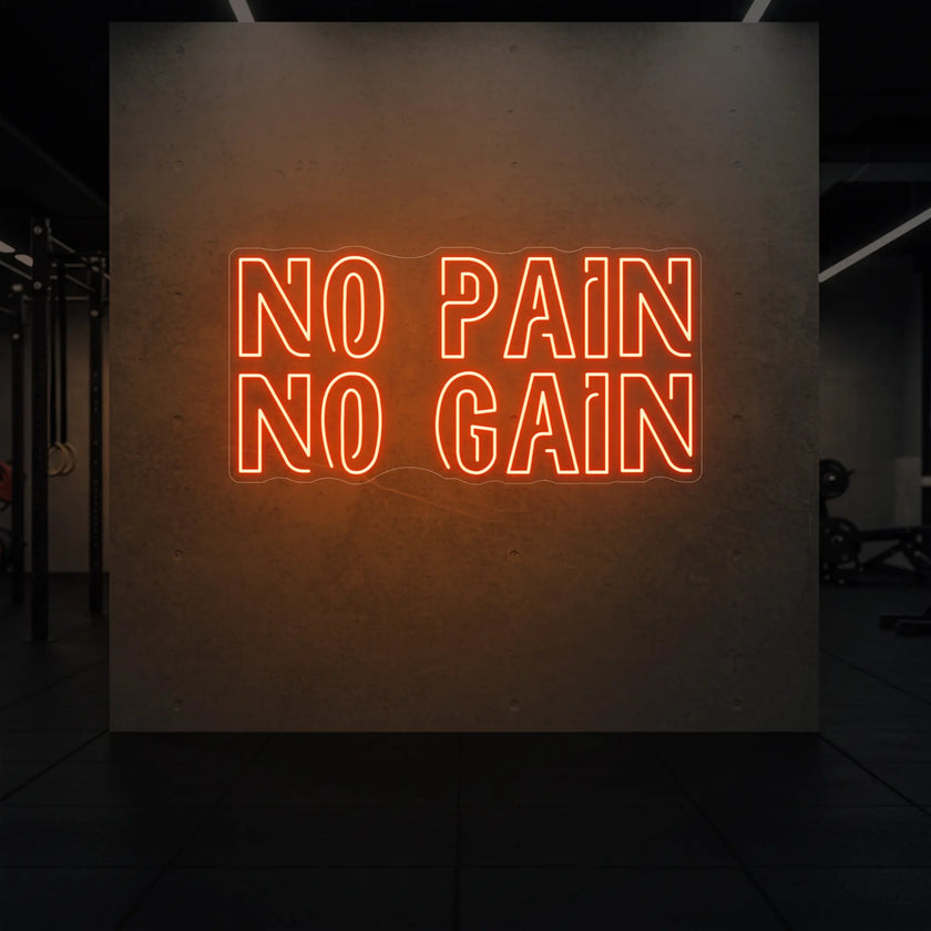 NO PAIN NO GAIN Neon Sign