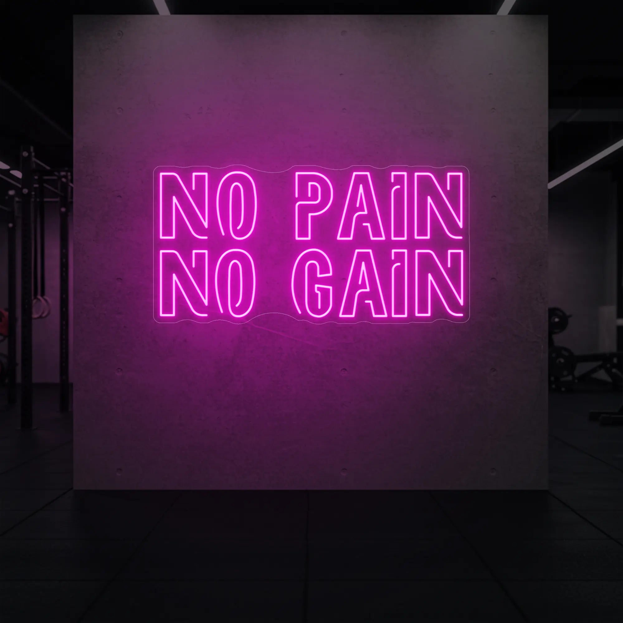 NO PAIN NO GAIN Neon Sign