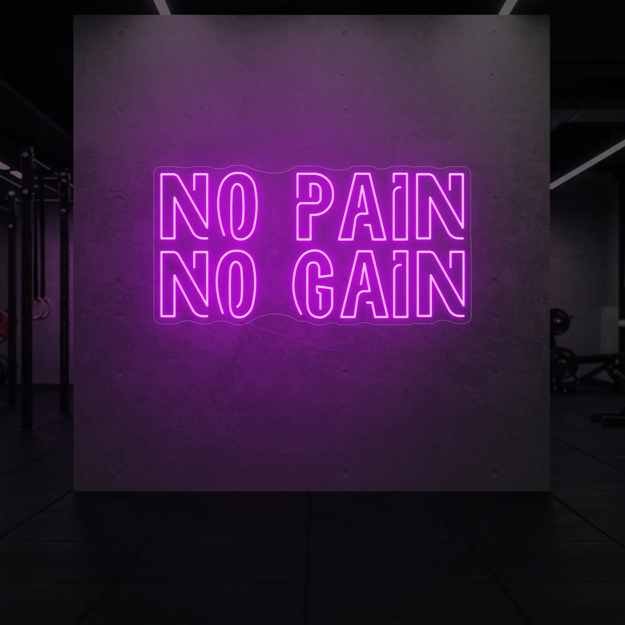 NO PAIN NO GAIN Neon Sign