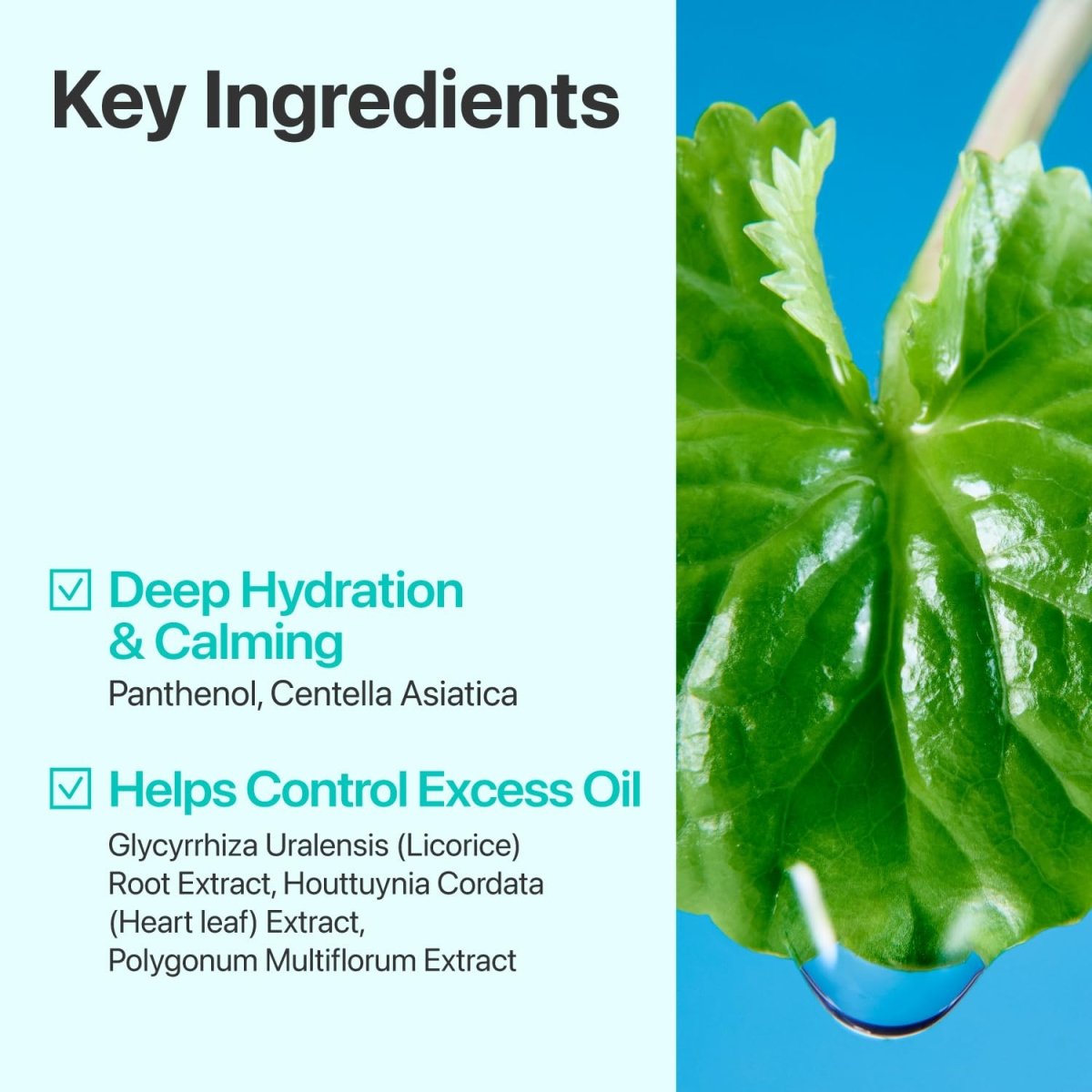 Numbuzin No.1 Pure-Full Calming Herb Toner 300ml