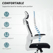 Andre Ergonomic Office Chair with 2D Lumbar Support and adjustable Headrest-Black/White