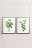 DUO FINES HERBES (2 Oeuvres sur toile étirée)