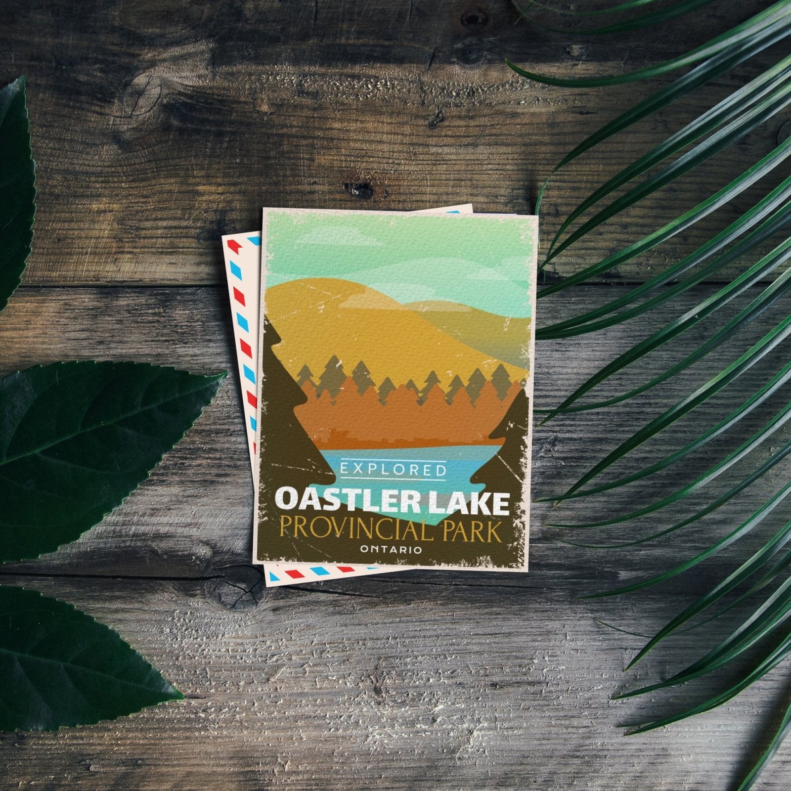 Oastler Lake Ontario Provincial Park Postcard, Canada Parks