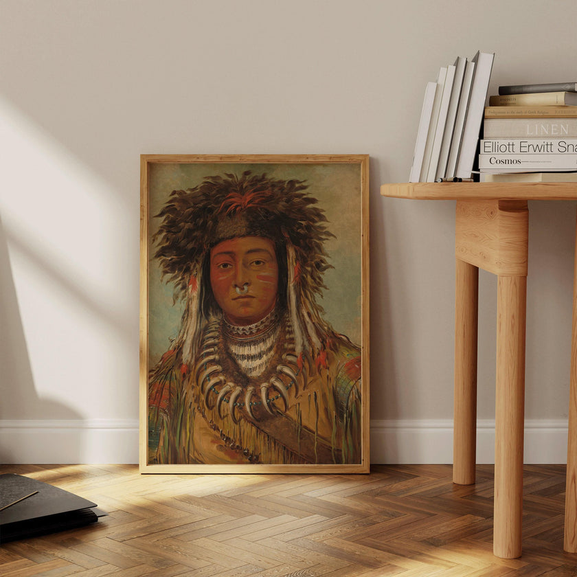 Ojibway Boy Chief Art Print: George Catlin Native American Portrait