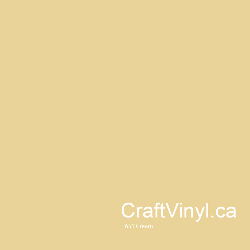 Oracal 651 Glossy Cream Vinyl  #023