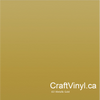 Oracal 651 Metallic Gold #091