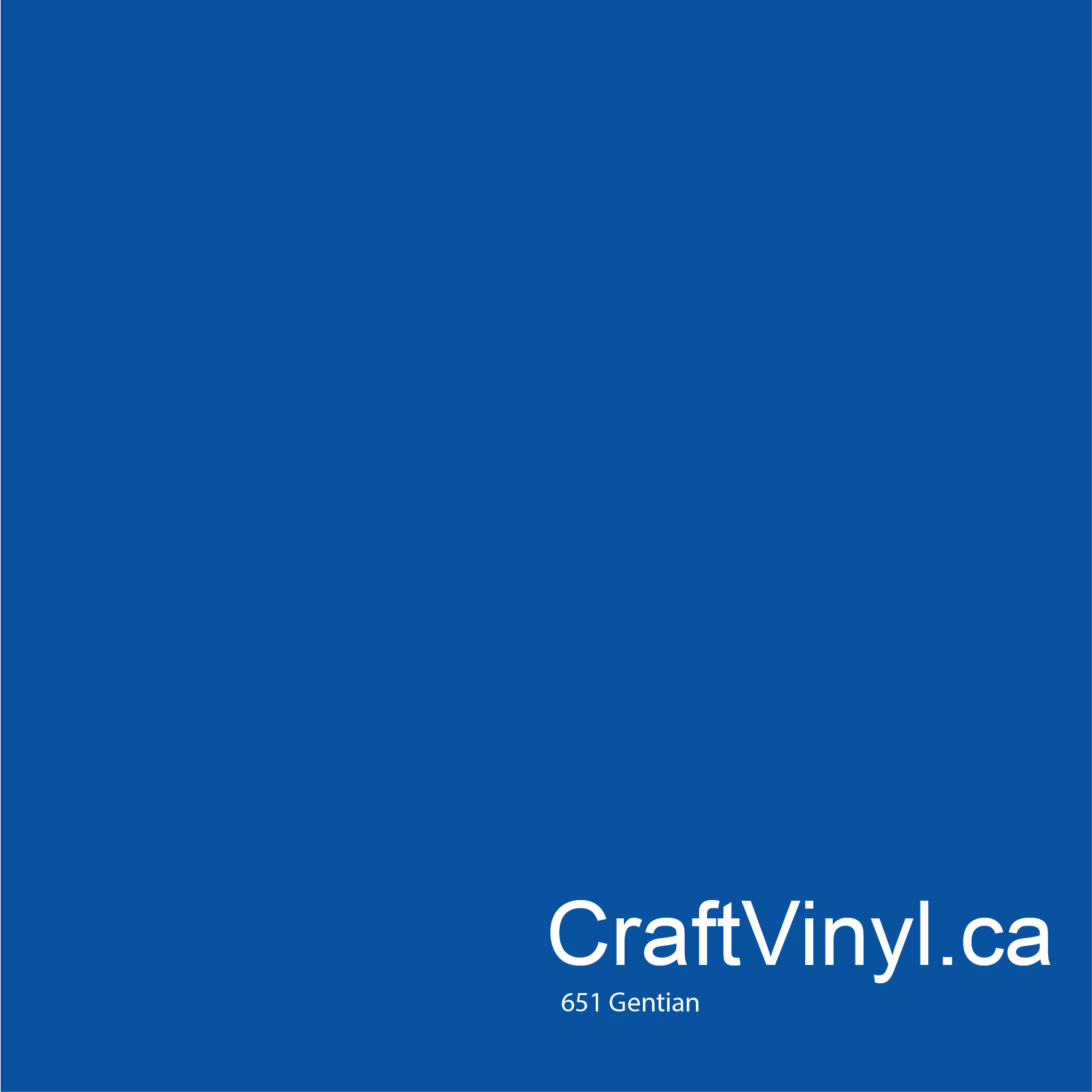 Oracal 651 Glossy Gentian Vinyl #098