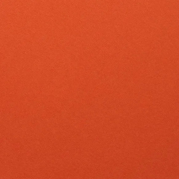 Clairefontaine - Maya Cardstock 120lb Paper - 20x28