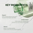 Orien Mugwort Soothe In Toner 160ml