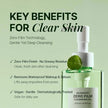 Orien Mugwort Zero Flim Cleansing Oil 200ml