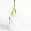 Matcha Green Tea