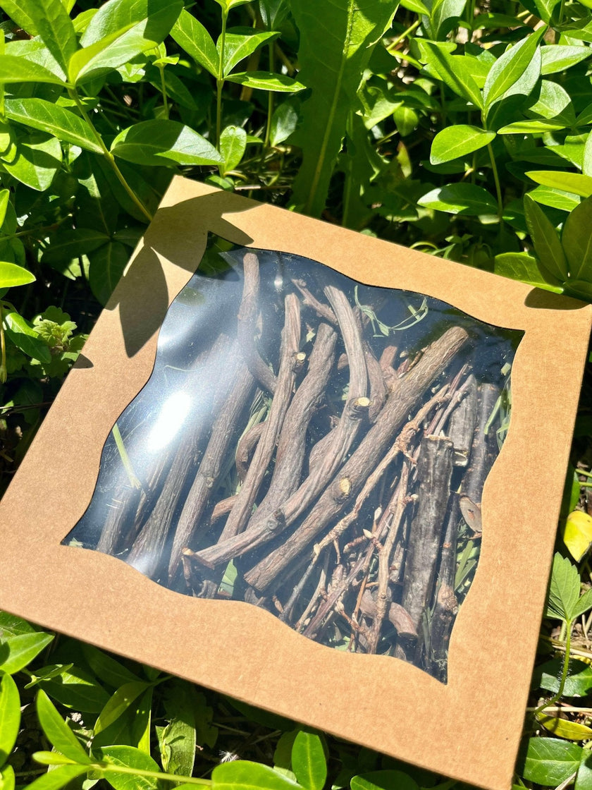 Bunny Chew Box: Apple, Kiwi, Currant & Gooseberry