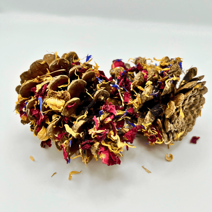 Floral-Dipped Pine Cones