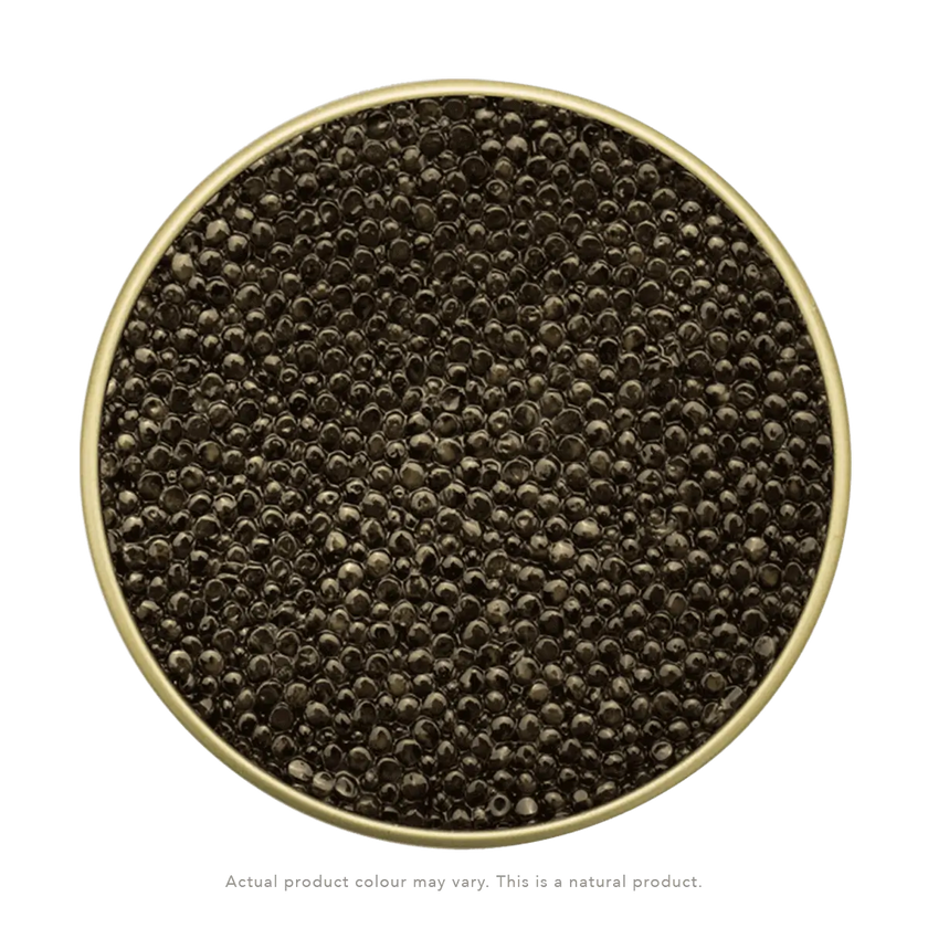 Osetra (Russian Sturgeon) Caviar