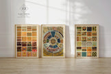 Owen Jones | STATEMENT TRIO | Vintage Pattern Art Available framed or unframed