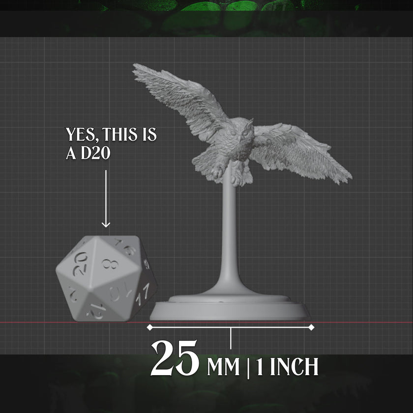 Owl Familiar