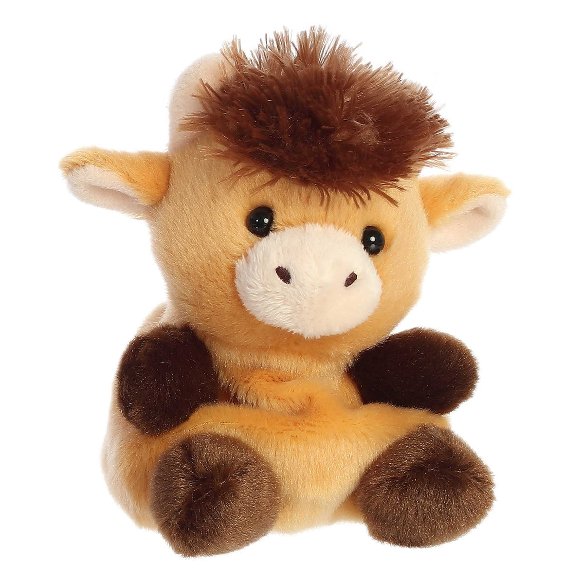 Palm Pals - Hubert Highland Cow 5
