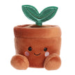 Palm Pals - Terra Potted Plant 5