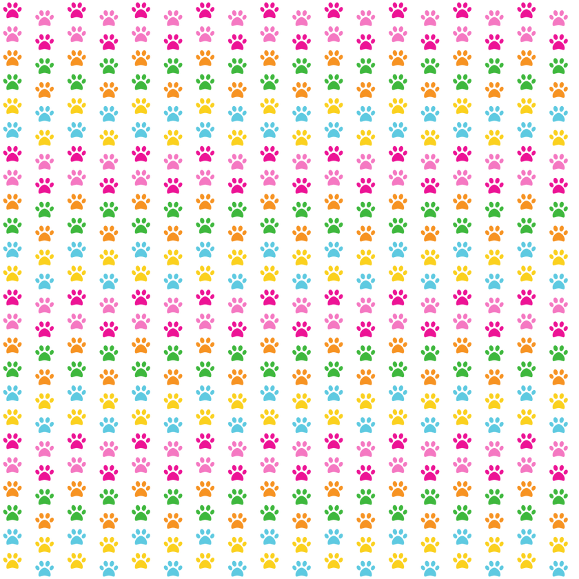 Craft HTV  Little Girly Paw Prints Pattern