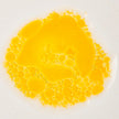 restorative body oil : essence