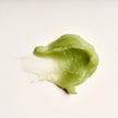 vulva balm : lips