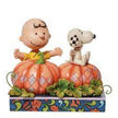 Peanuts - Charlie Brown & Snoopy 