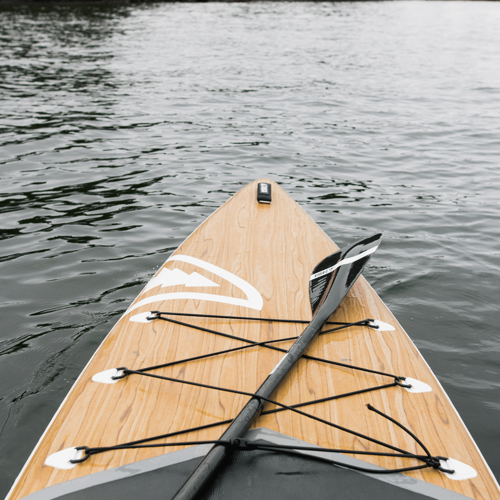PERFORMANCE PADDLE - CARBON - Adjustable 2 or 3 pieces