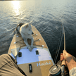 PERFORMANCE PADDLE - HOOKÉ EDITION - Adjustable 3 pieces