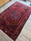 Perisan Zanjan Rug | 4' 8