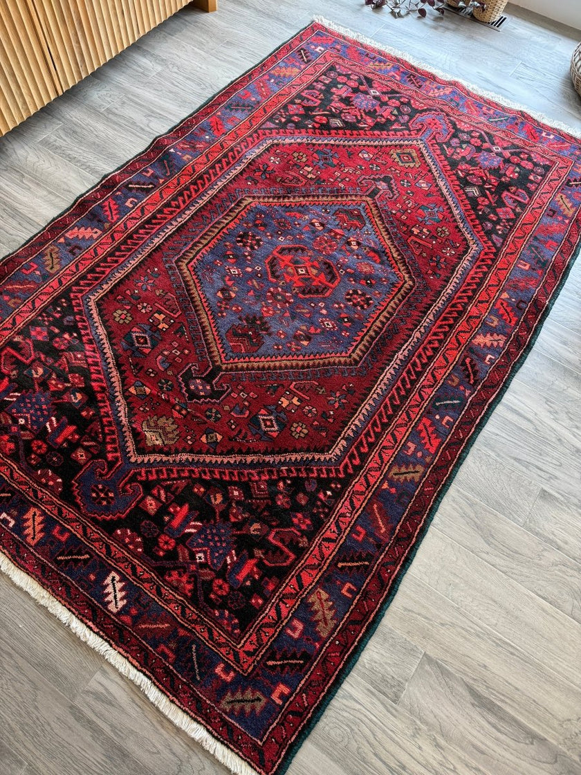 Perisan Zanjan Rug | 4' 8