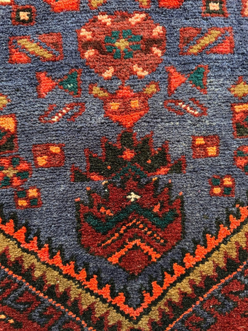 Perisan Zanjan Rug | 4' 8