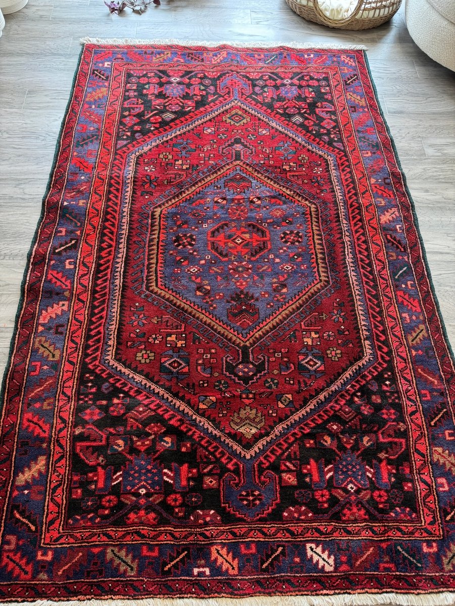 Perisan Zanjan Rug | 4' 8
