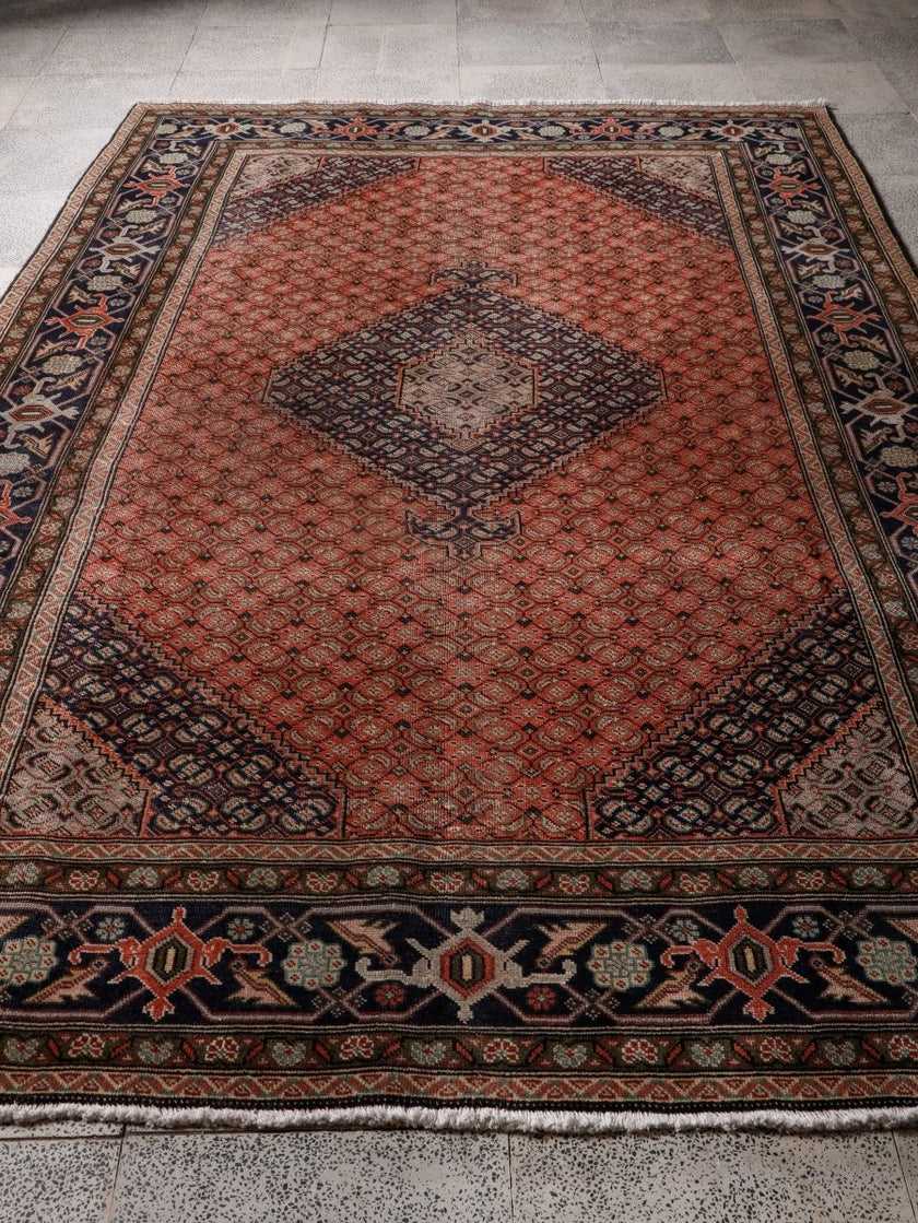 Persian Ardabil Rug | 6' 3” x 9' 5