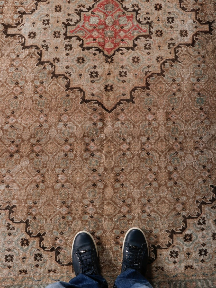 Persian Ardabil Rug | 6' 6” x 8' 11