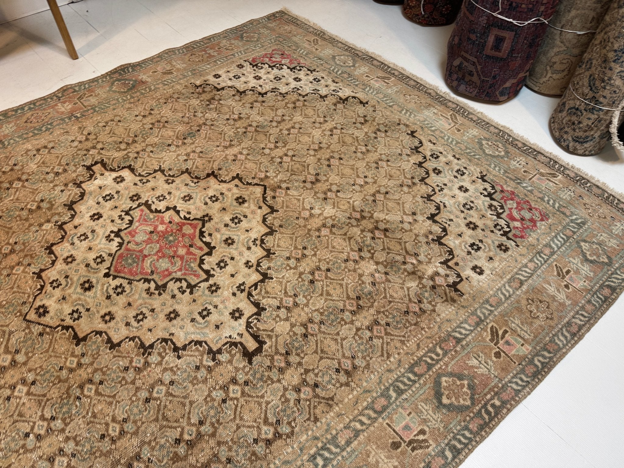Persian Ardabil Rug | 6' 6” x 8' 11